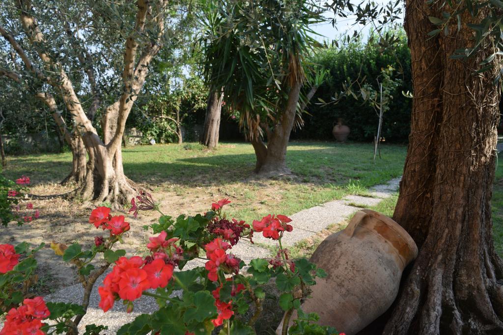 Bed and Breakfast La Convenienza Uliveto Terme Екстер'єр фото