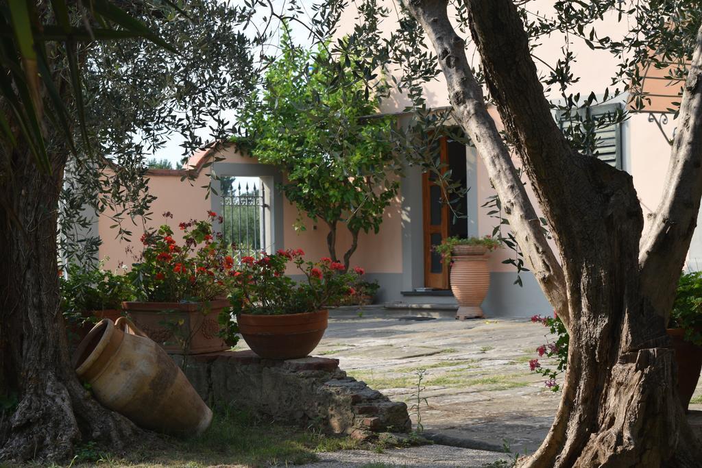 Bed and Breakfast La Convenienza Uliveto Terme Екстер'єр фото