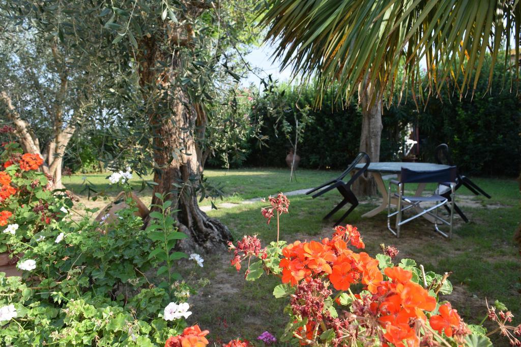 Bed and Breakfast La Convenienza Uliveto Terme Екстер'єр фото