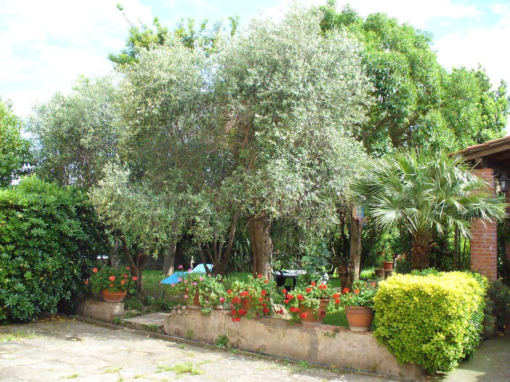 Bed and Breakfast La Convenienza Uliveto Terme Екстер'єр фото